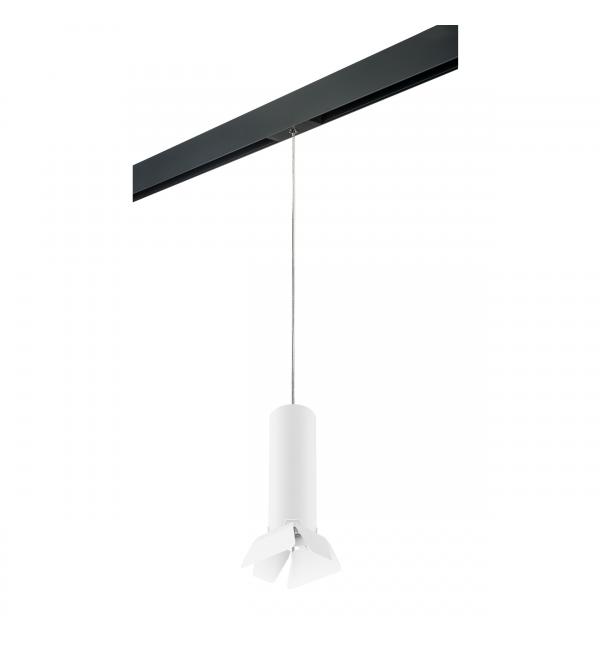 Светильник Lightstar Rullo PRORP496436