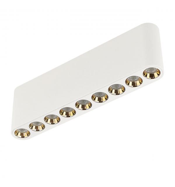Светильник Odeon Light HIGHTECH 7091/21CL
