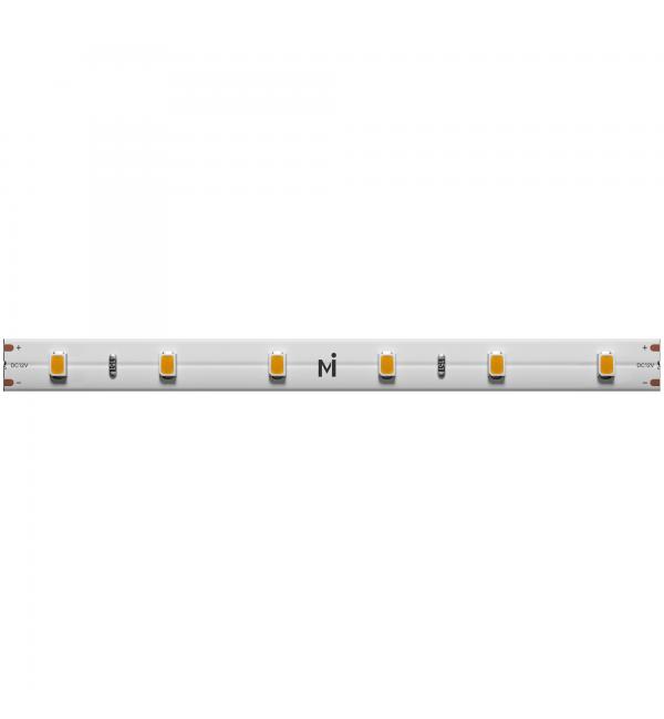 Светодиодная лента Maytoni Led Strip 201015