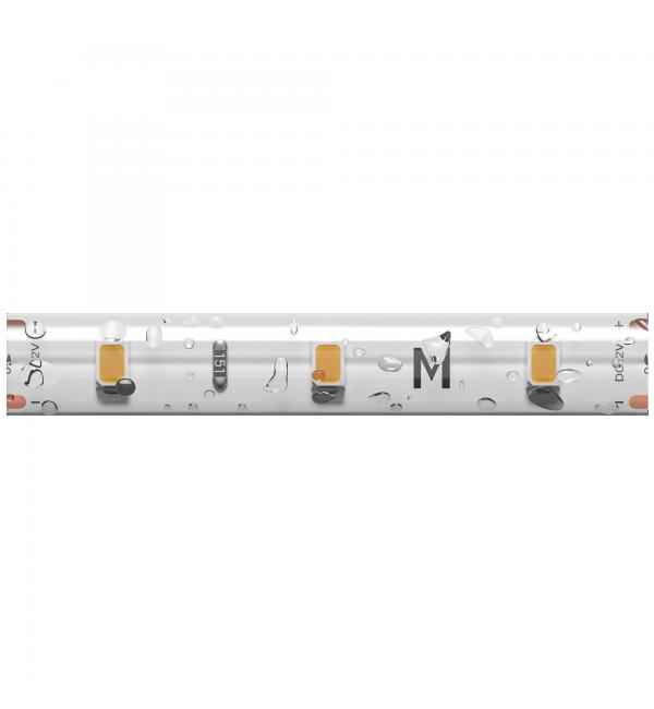 Светодиодная лента Maytoni Led Strip 201021