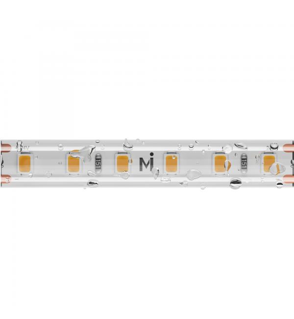 Светодиодная лента Maytoni Led Strip 201212