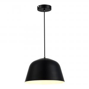 Светильник Evoluce BLANK SLE1805-403-01