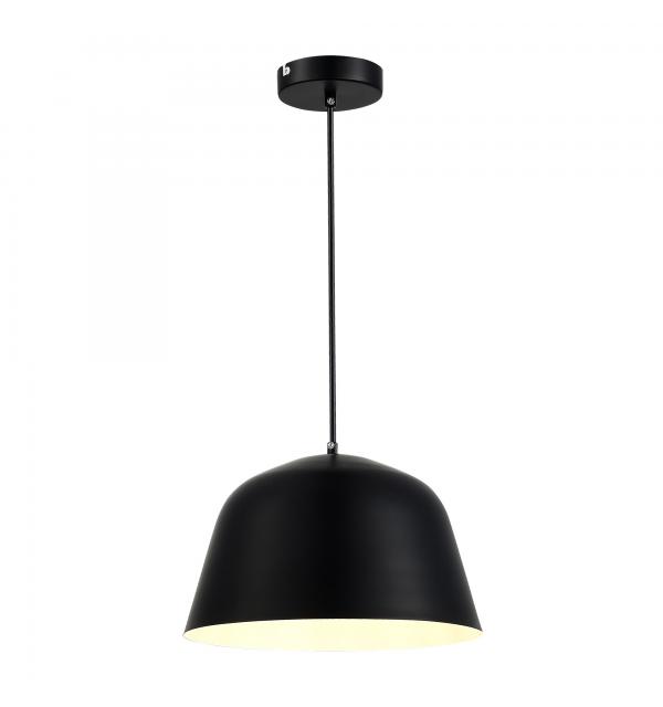 Светильник Evoluce BLANK SLE1805-403-01