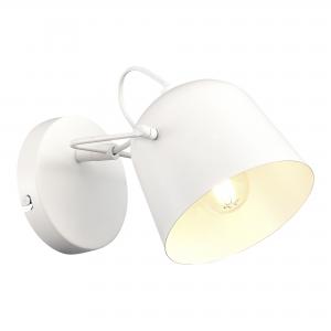 Светильник Evoluce BLANK SLE1805-501-01