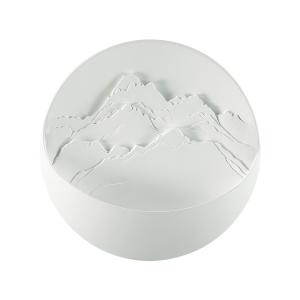 Светильник Odeon Light MONTANA 7168/6WL