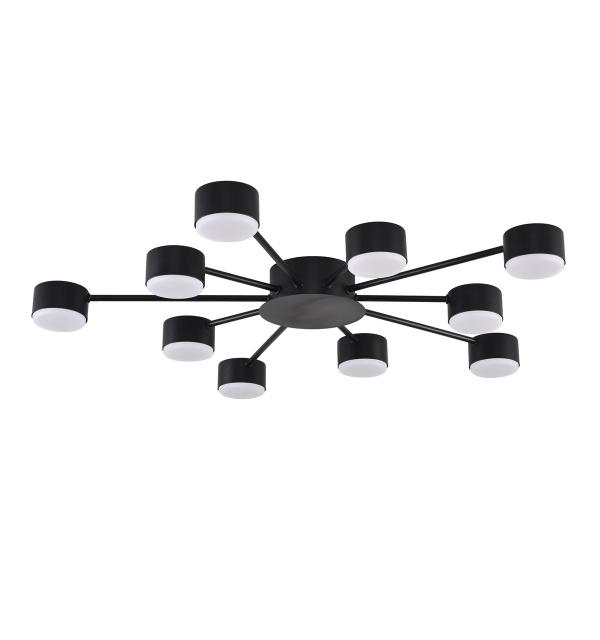 Светильник Lumion TORINA 8344/10C